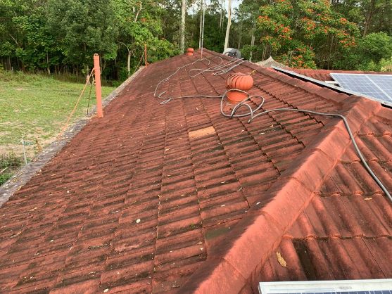 roof cleaning sunshine coast before photo with moss